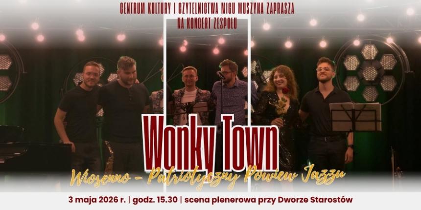 Koncert zespołu Wonky Town