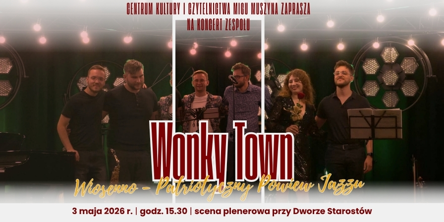 Koncert zespołu Wonky Town